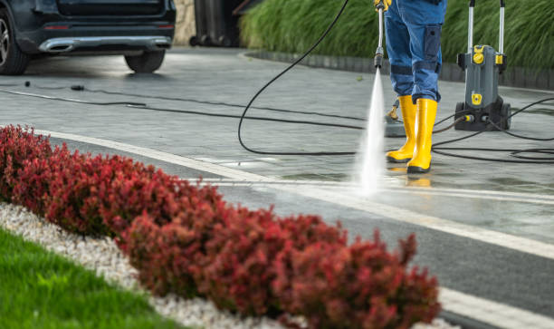 Best Affordable Power Washing  in Crystal, MN