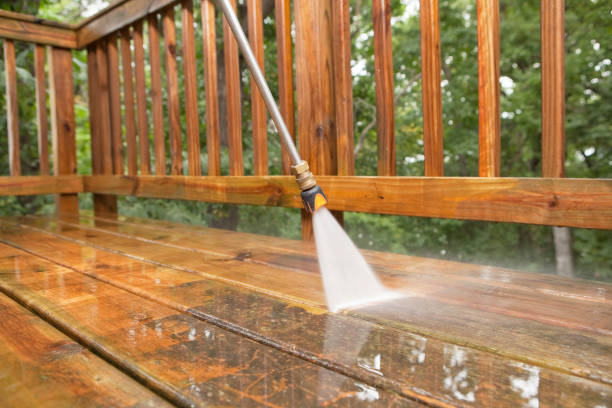 Best Sidewalk Pressure Washing  in Crystal, MN
